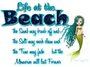 Life at the Beach