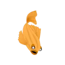 Gold Fish 2