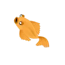 Gold Fish 3