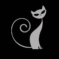 Kitty