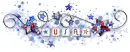 US stars Divider