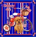 Happy 4th!