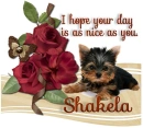 A Day as Sweet as You- Shakela