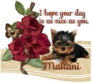 A Day as Sweet as you- Makani