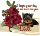 A Day as Sweet as you- Elia