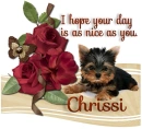 A Day as Sweet as you- Chrissi