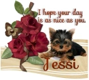 A Day as Sweet as you- Jessi
