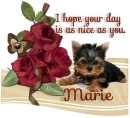A Day as Sweet as you- Marie