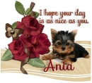 A Day as Sweet as you- Ania