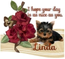 A Day as Sweet as you- Linda