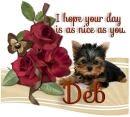 A Day as Sweet as you, Deb