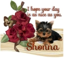 A Day as Sweet as you- Shonna