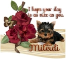 A Day as Sweet as you- Mileidi