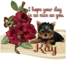 A Day as nice as you- Kay
