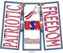 PATRIOTIC - PAMI