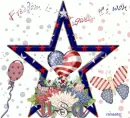 USA - Freedom is not given