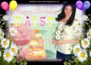 Daisy -Happy Birthday 