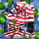USA rose (Fb profile pic)