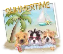 Summer Time