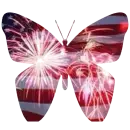 American Butterfly