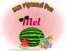 Mel - Sun Ripened - Water Melon