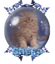 Sheba