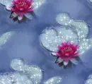 Flowers - background