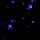 Night Sky - background
