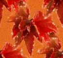Autumn Fall leaves - background