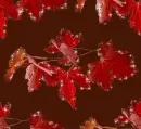 Autumn Fall leaves - background