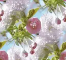 Flowers - background