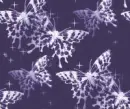 Butterflies - background
