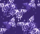 Butterflies - background