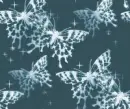 Butterflies - background