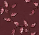 Autumn Fall leaves - background