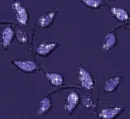 Autumn Fall leaves - background