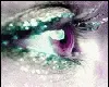 Nice eye