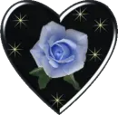 heartflower