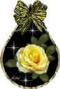 rose in glass