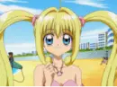 luchia's 2 forms