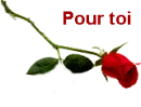 flowerose