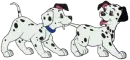 dogsdalmatians