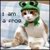 in a frog