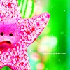 starfish