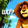 Wtf?