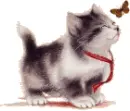 cutecat1