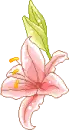 Lilly