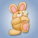 bunny bear