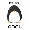 cute penguin