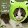 gangsta kitty